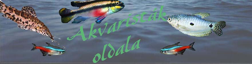 akvaristk oldala